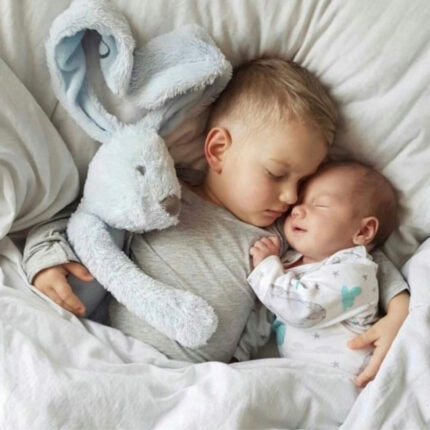 Baby & Toddler